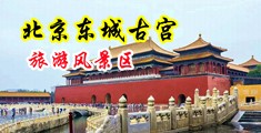 操骚逼水好多好紧免费看视频中国北京-东城古宫旅游风景区